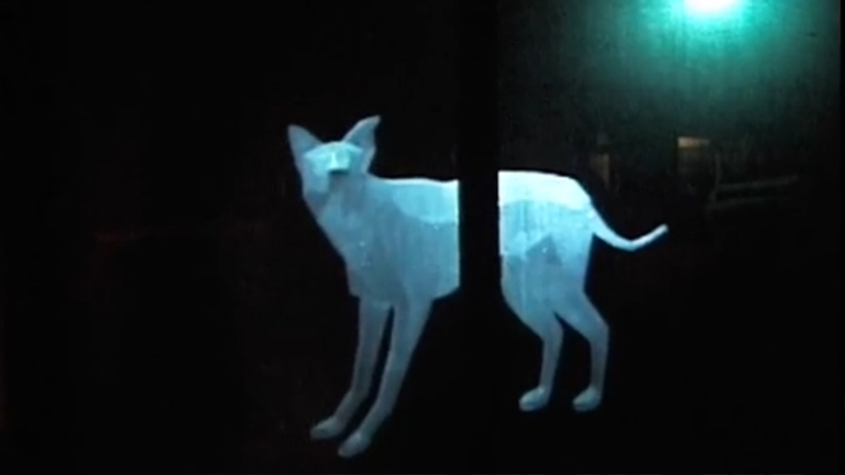 <p> Do you ever get the feeling you’re witnessing the beginning of something big? Created with the Unity3d Game Engine, this interactive projection renders the dog visualization in real time, using video tracking to inform its behaviour according to what it “sees” - engaging with the viewer (or rather “participant”), all the while. Imagine what brands might do with this technology– billboards chasing you down the street! You can run but you can’t hide! But for no - magic.</p>