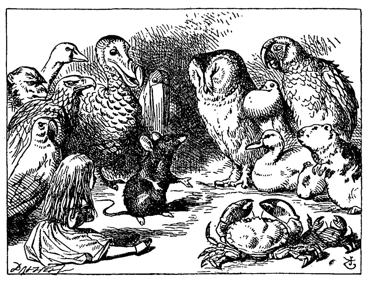 Not only humans tell stories in that storytelling masterpiece that is <em>Alice in Wonderland</em>. (Illustration by John Tenniel)